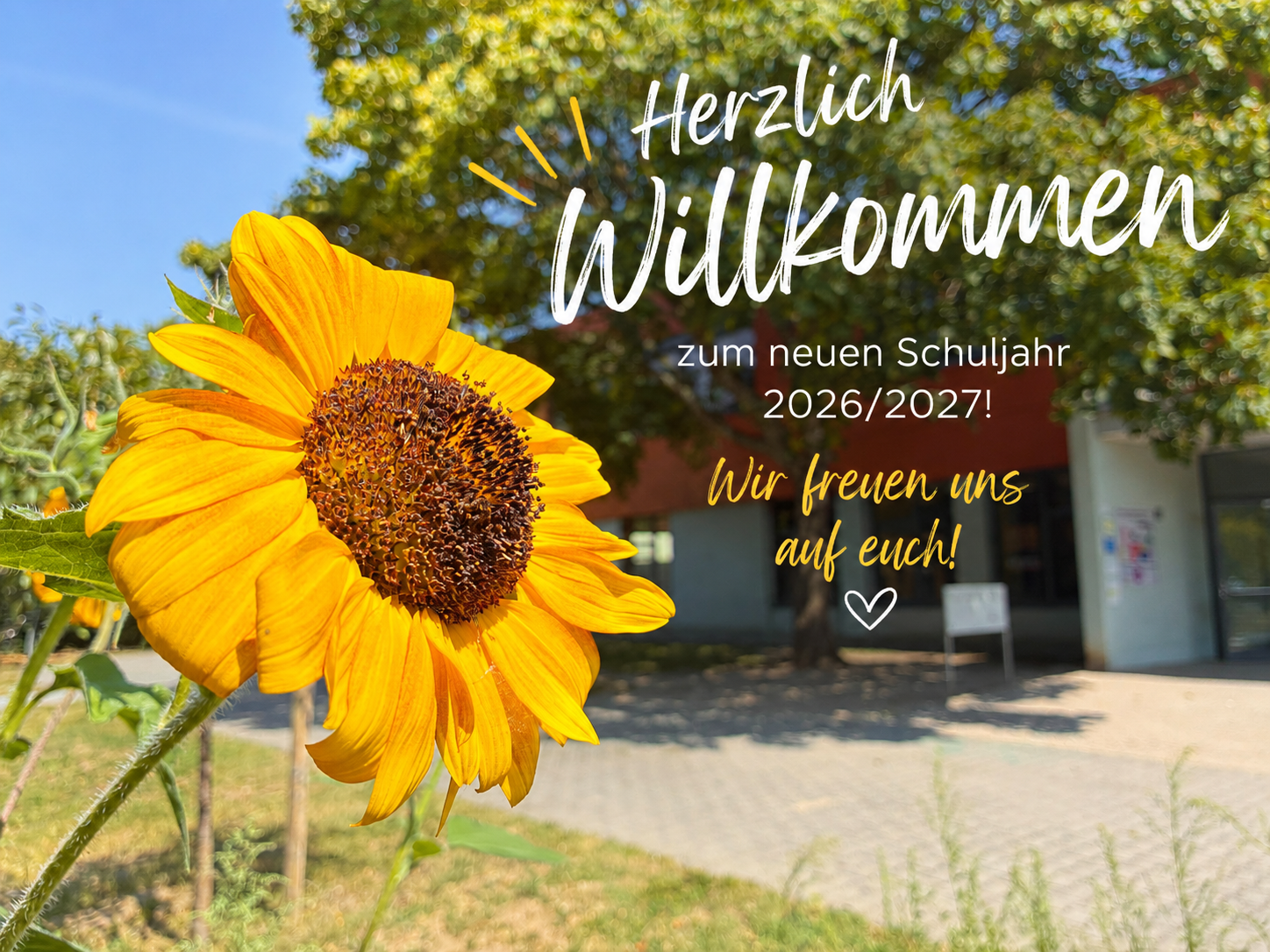 Willkommen zurück.png